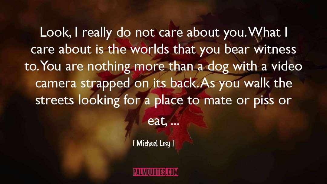 Michael Lesy Quotes: Look, I really do not