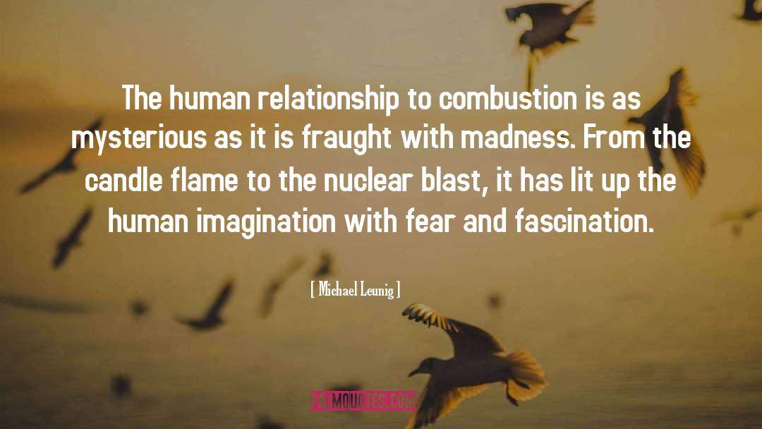 Michael Leunig Quotes: The human relationship to combustion