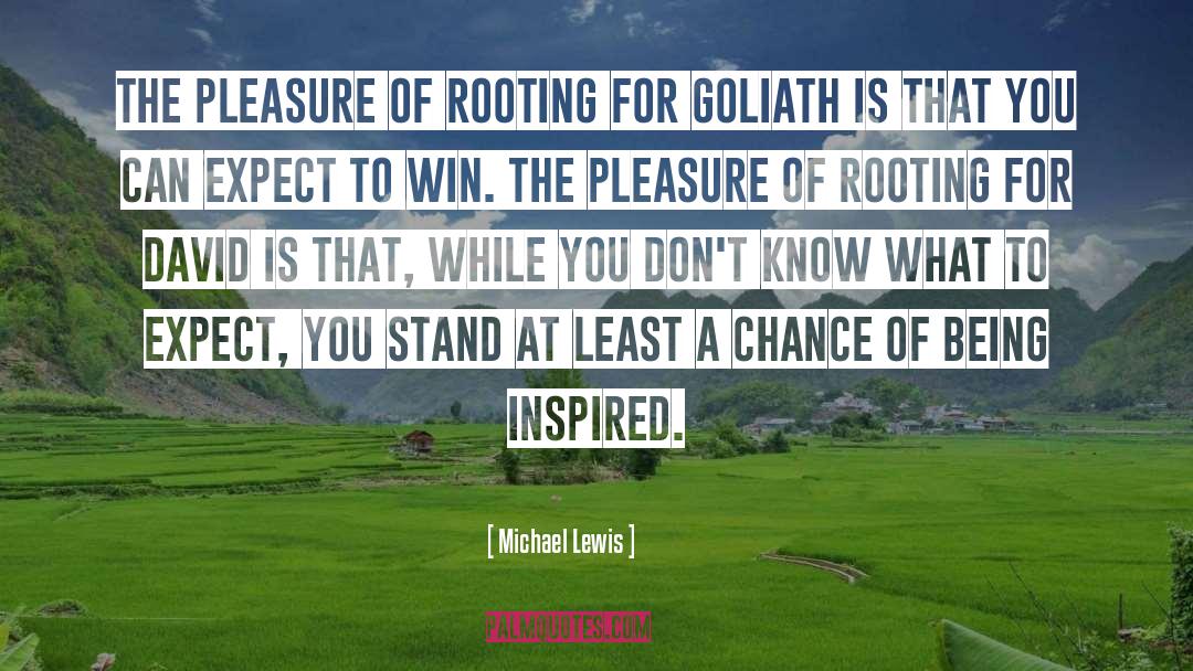 Michael Lewis Quotes: The pleasure of rooting for