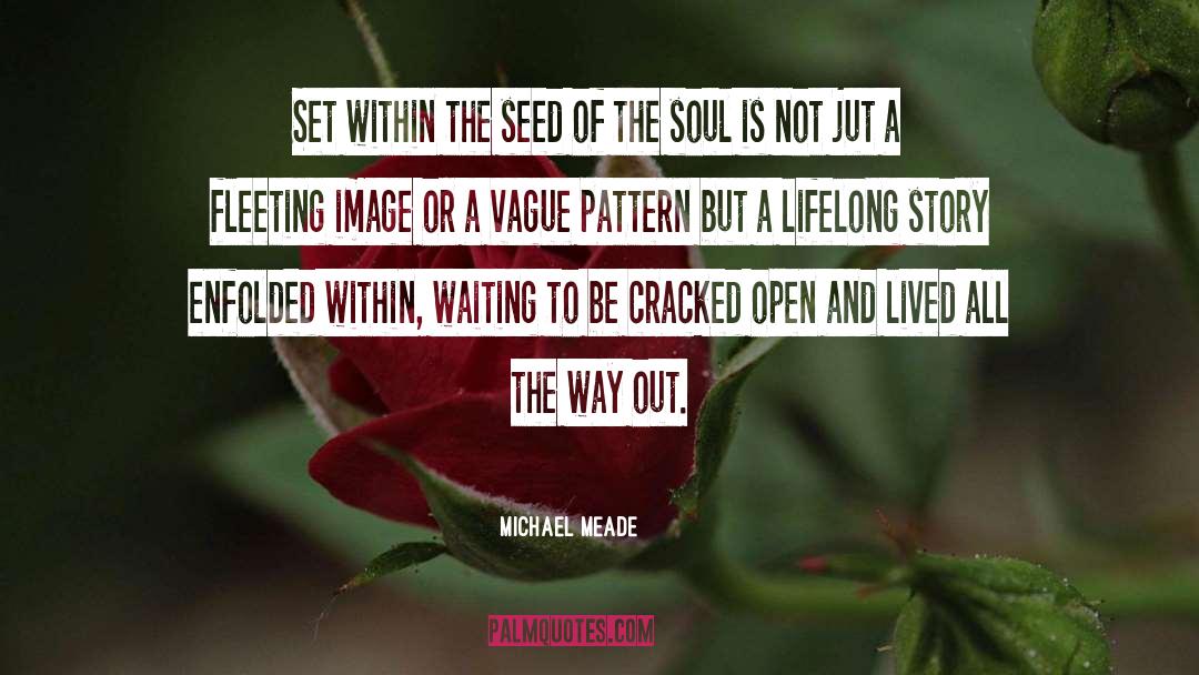 Michael Meade Quotes: Set within the seed of