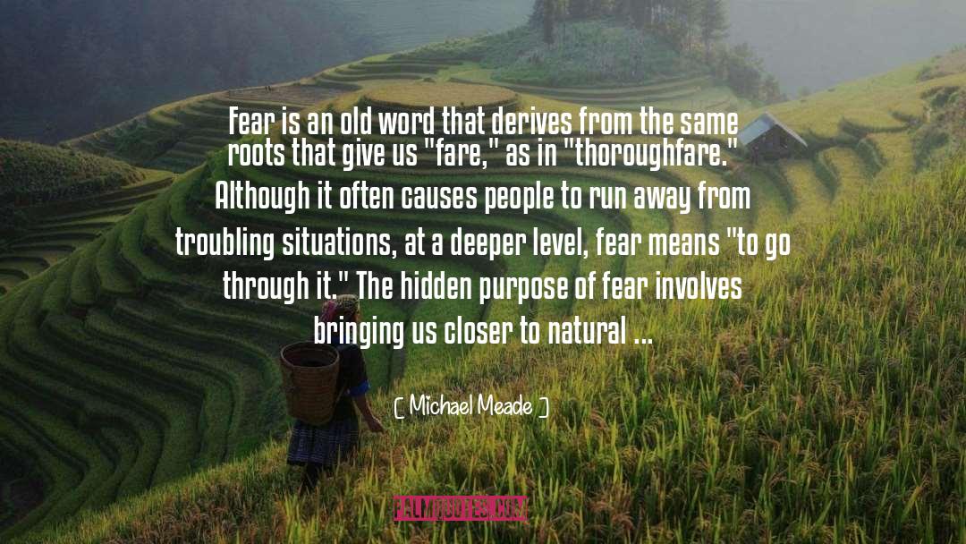 Michael Meade Quotes: Fear is an old word