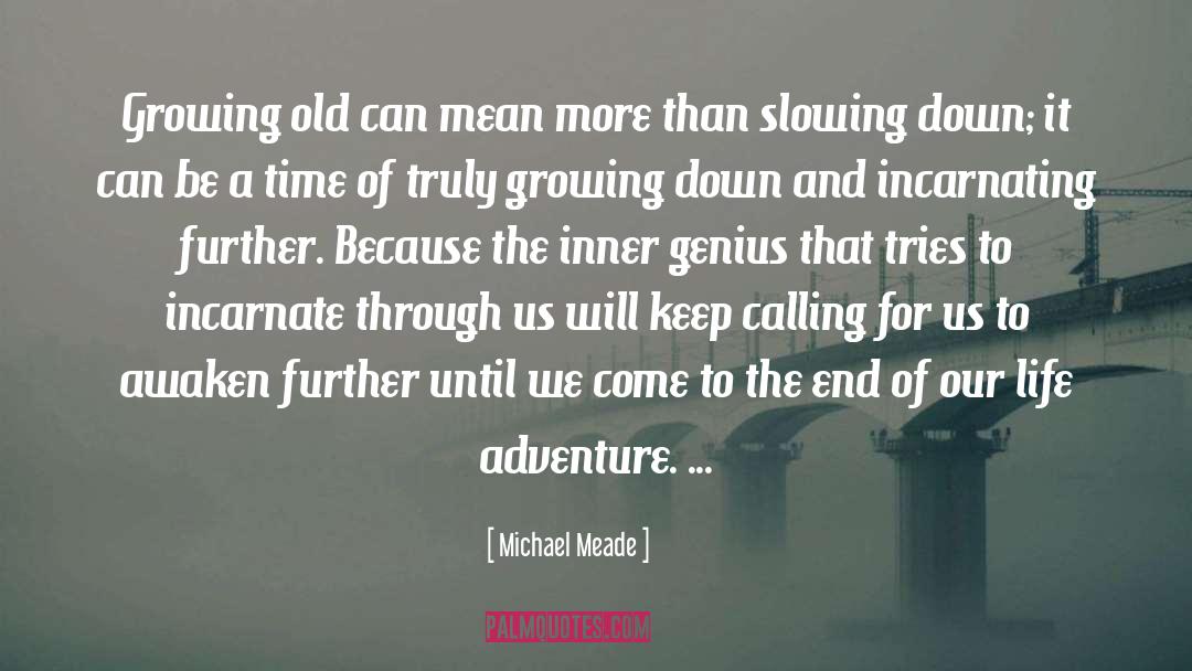 Michael Meade Quotes: Growing old can mean more
