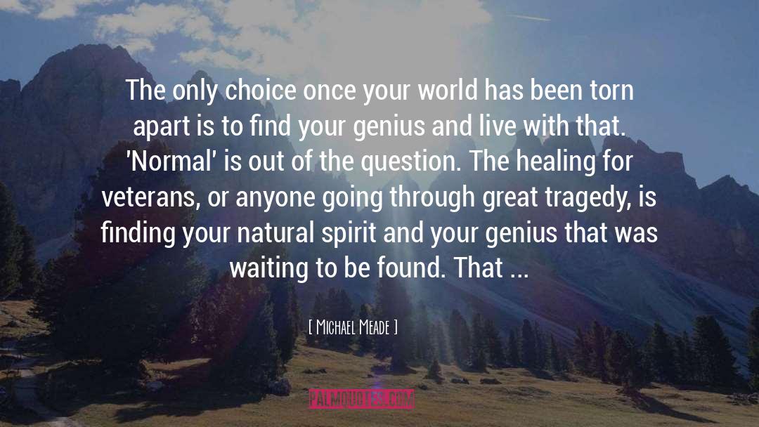 Michael Meade Quotes: The only choice once your