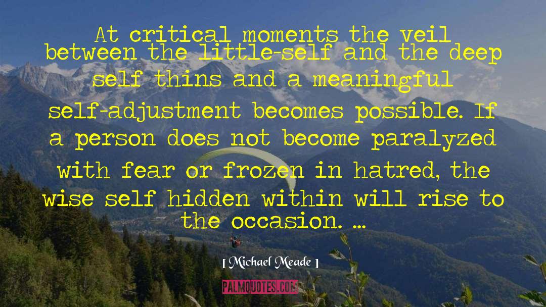 Michael Meade Quotes: At critical moments the veil