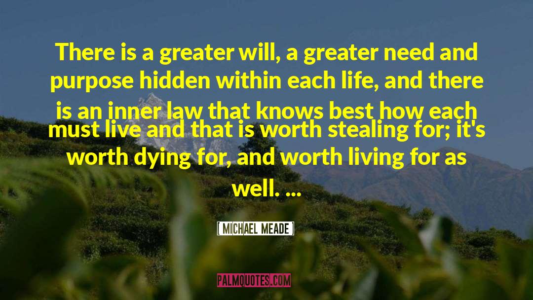 Michael Meade Quotes: There is a greater will,