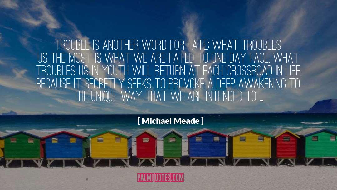 Michael Meade Quotes: Trouble is another word for