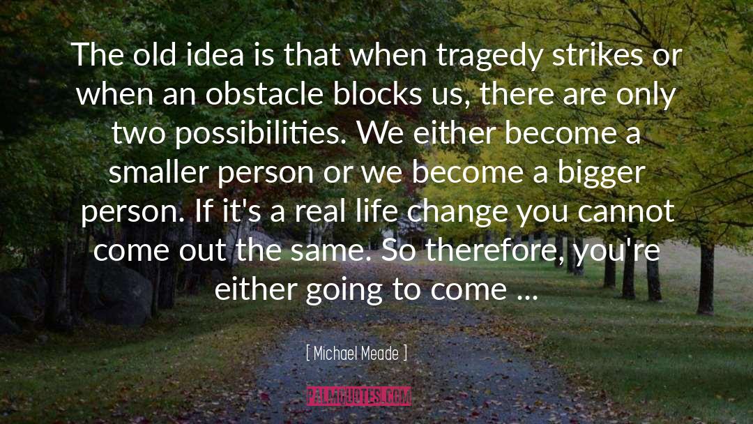 Michael Meade Quotes: The old idea is that