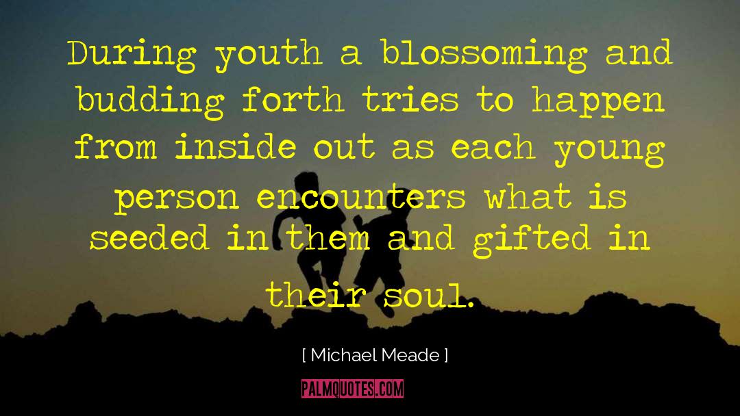 Michael Meade Quotes: During youth a blossoming and