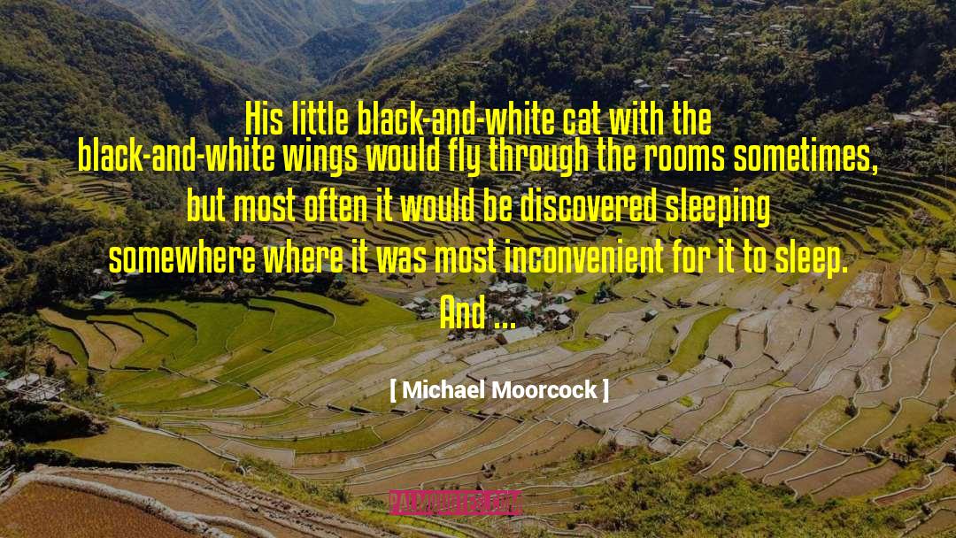 Michael Moorcock Quotes: His little black-and-white cat with