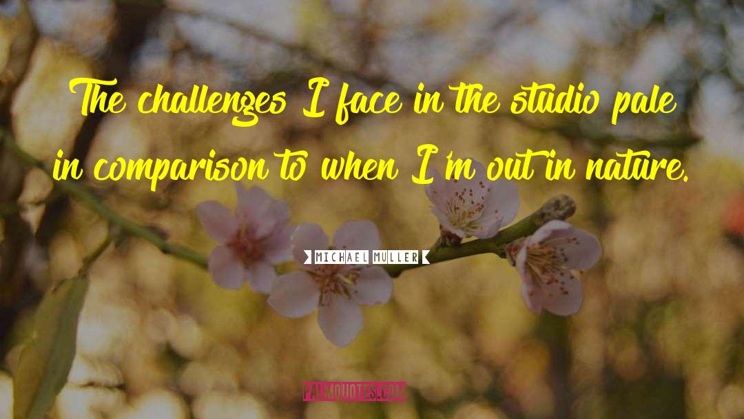 Michael Muller Quotes: The challenges I face in