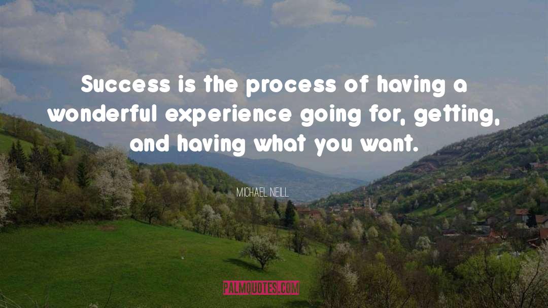 Michael Neill Quotes: Success is the process of