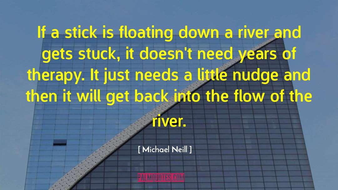 Michael Neill Quotes: If a stick is floating