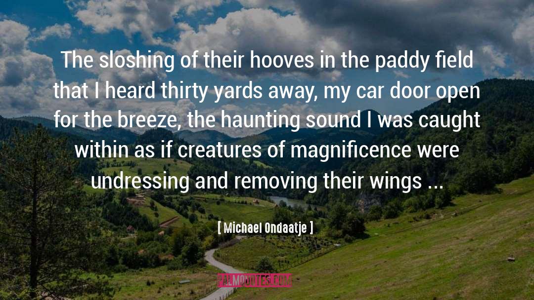 Michael Ondaatje Quotes: The sloshing of their hooves