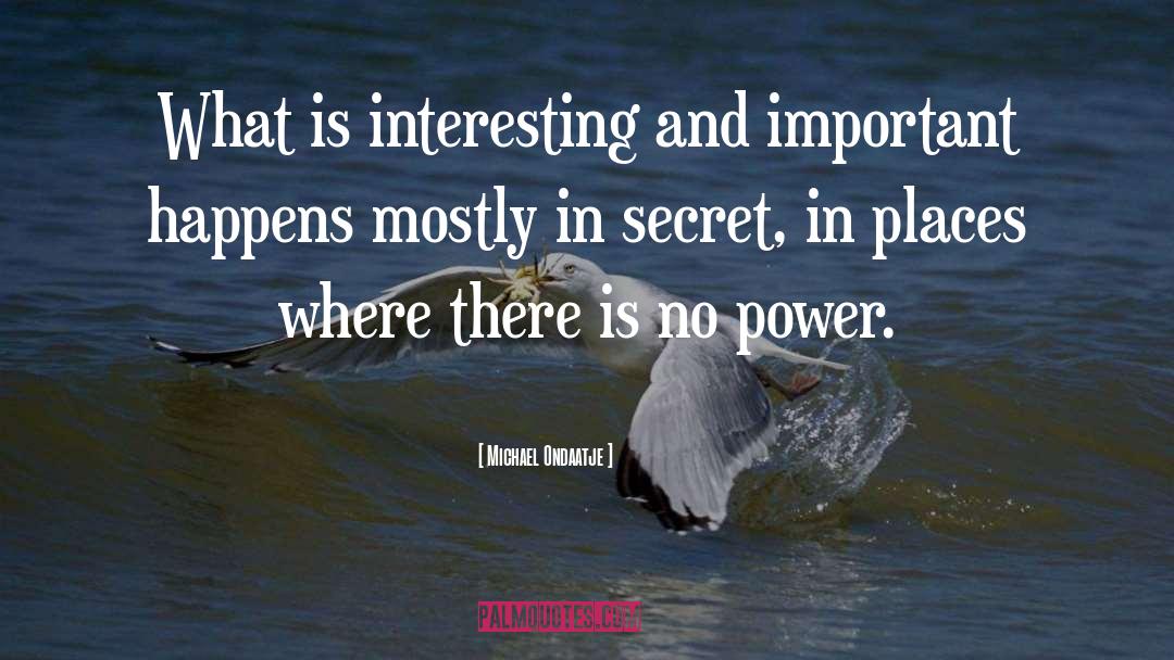 Michael Ondaatje Quotes: What is interesting and important