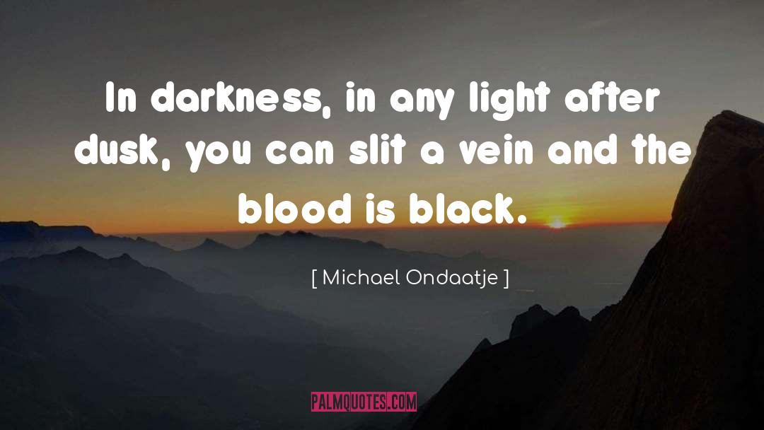 Michael Ondaatje Quotes: In darkness, in any light
