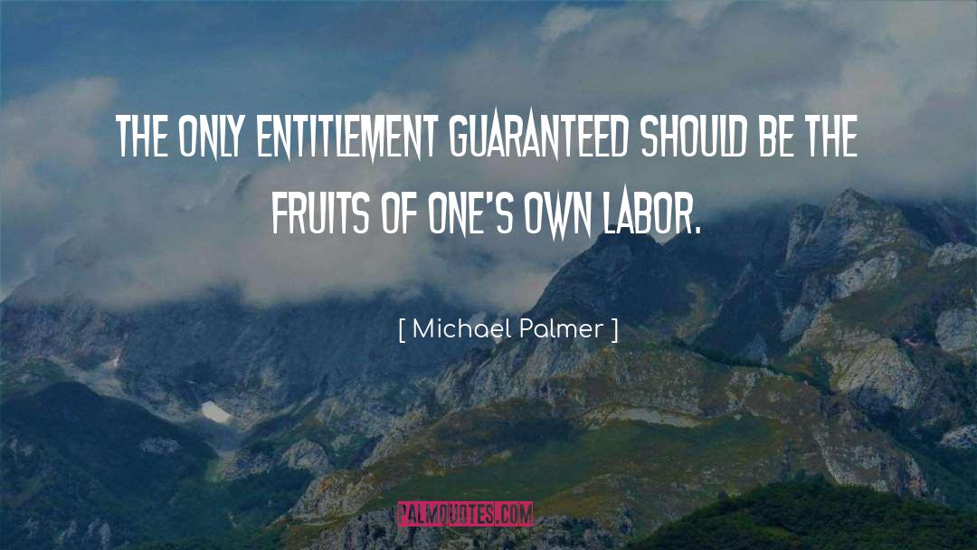 Michael Palmer Quotes: The only entitlement guaranteed should