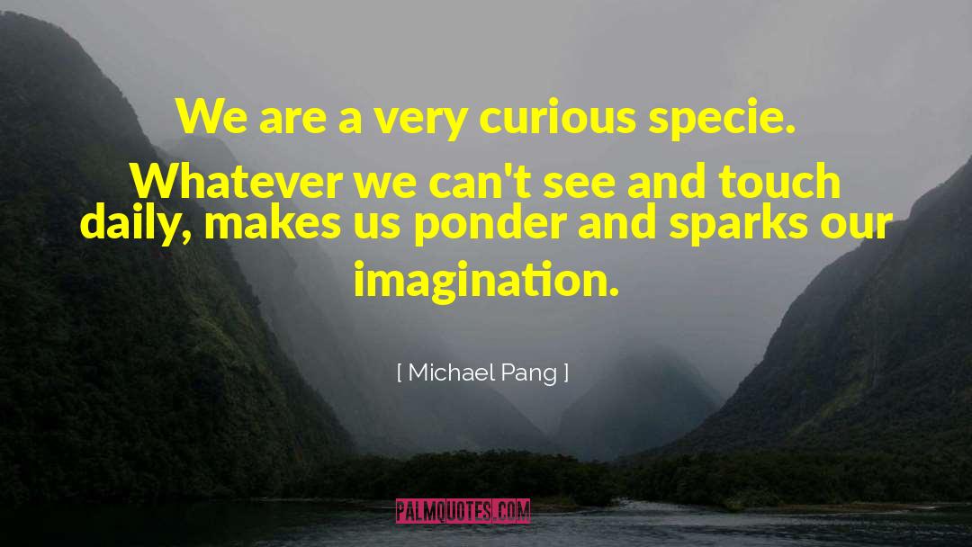 Michael Pang Quotes: We are a very curious