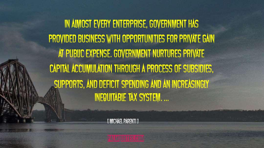 Michael Parenti Quotes: In almost every enterprise, government