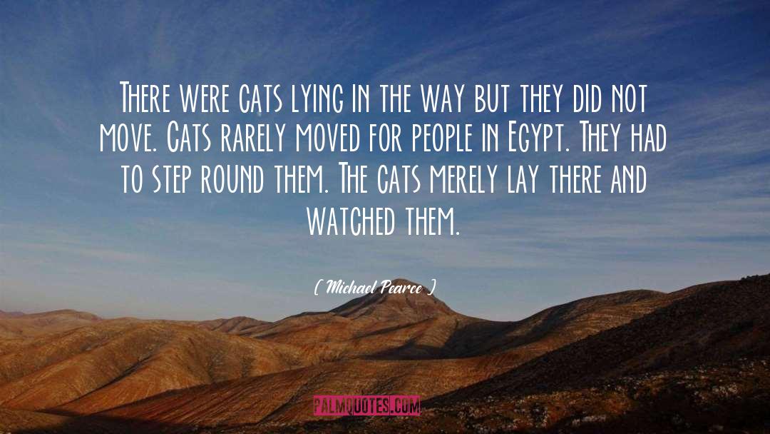 Michael Pearce Quotes: There were cats lying in