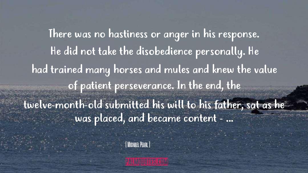 Michael Pearl Quotes: There was no hastiness or