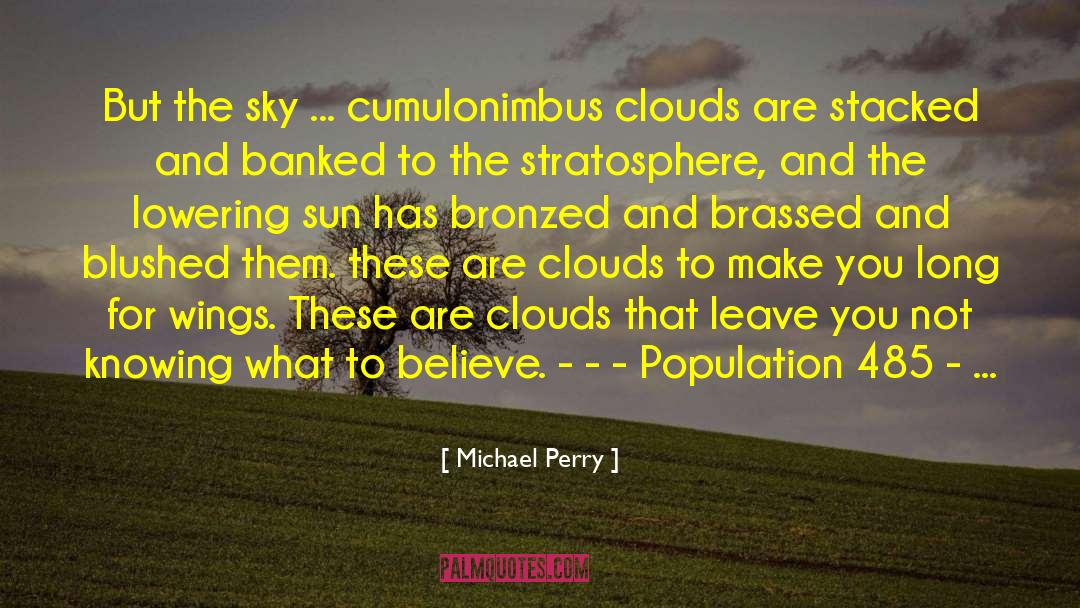 Michael Perry Quotes: But the sky ... cumulonimbus