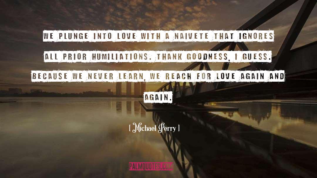 Michael Perry Quotes: We plunge into love with