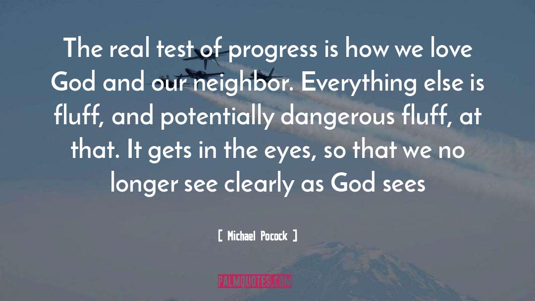 Michael Pocock Quotes: The real test of progress