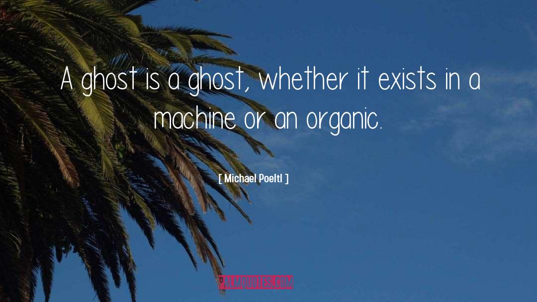 Michael Poeltl Quotes: A ghost is a ghost,