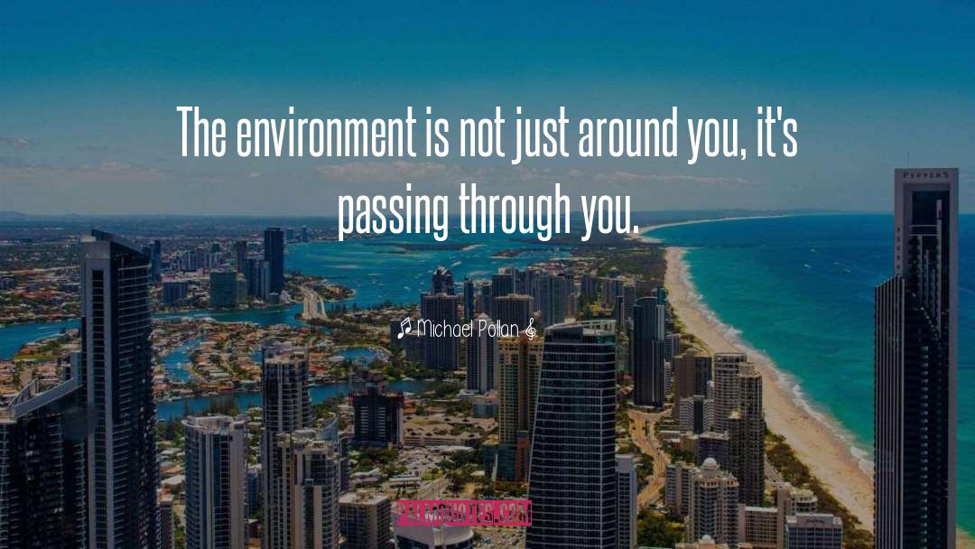 Michael Pollan Quotes: The environment is not just
