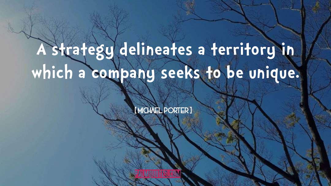 Michael Porter Quotes: A strategy delineates a territory