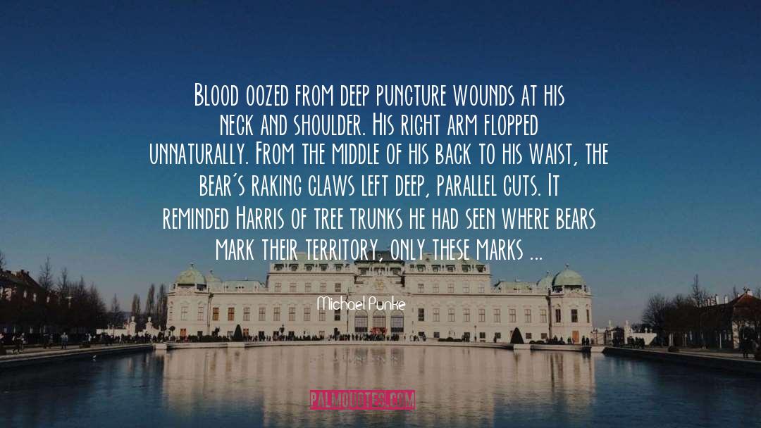 Michael Punke Quotes: Blood oozed from deep puncture