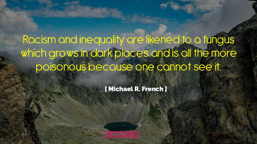 Michael R. French Quotes: Racism and inequality are likened