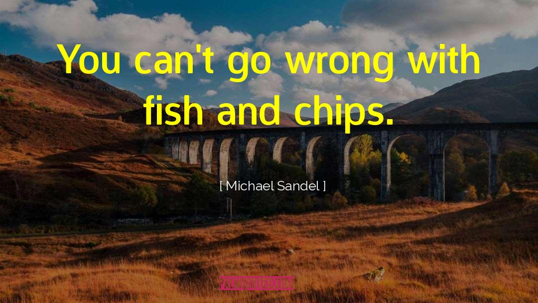 Michael Sandel Quotes: You can't go wrong with