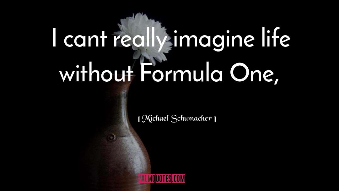 Michael Schumacher Quotes: I cant really imagine life