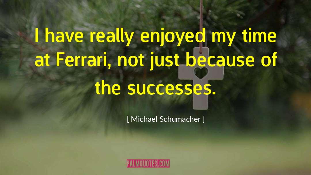 Michael Schumacher Quotes: I have really enjoyed my