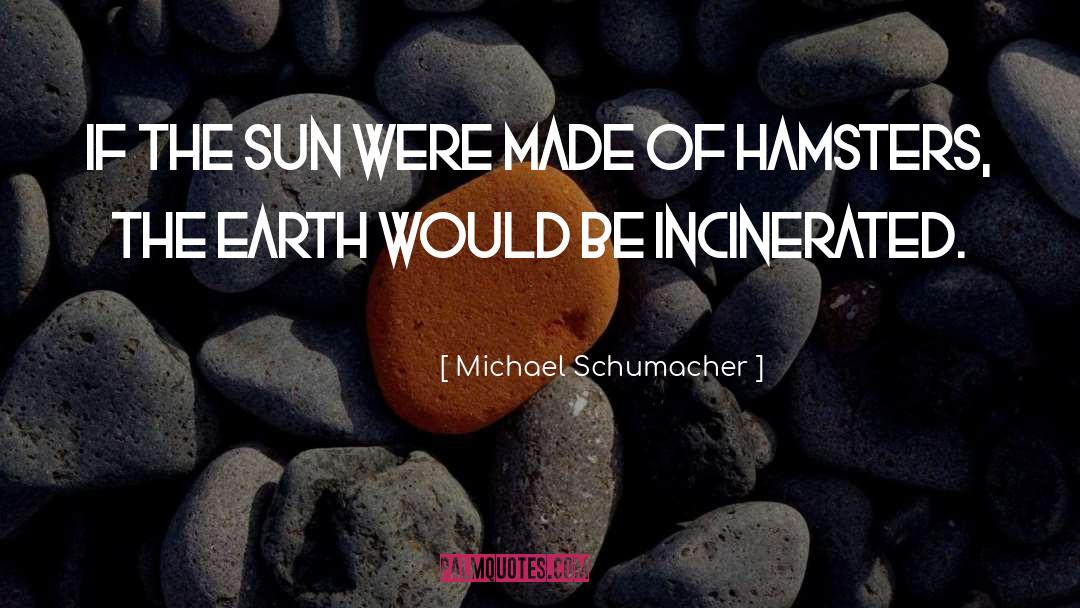 Michael Schumacher Quotes: If the sun were made