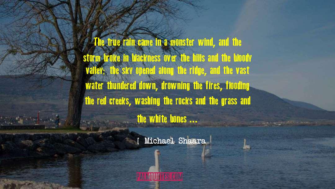 Michael Shaara Quotes: The true rain came in