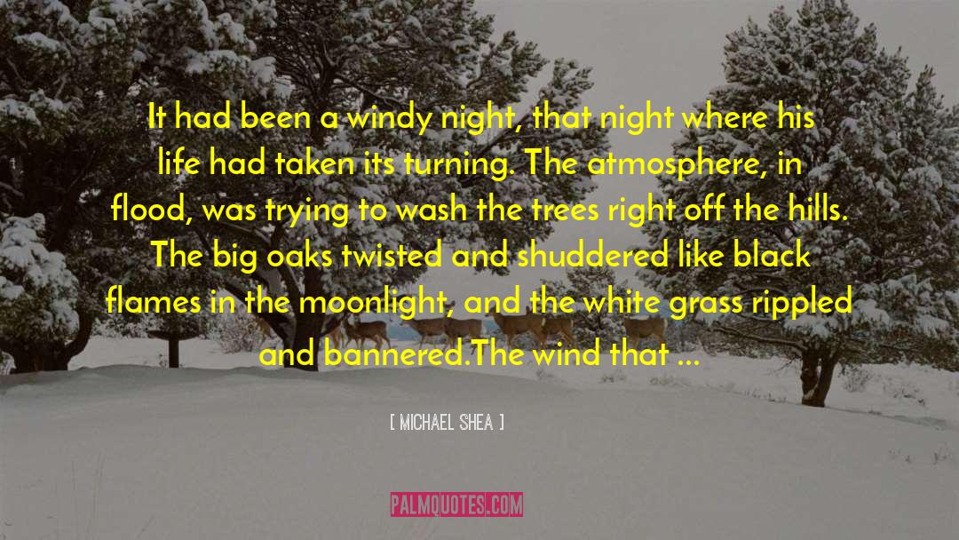 Michael Shea Quotes: It had been a windy