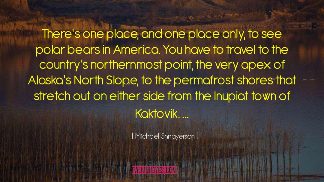 Michael Shnayerson Quotes: There's one place, and one