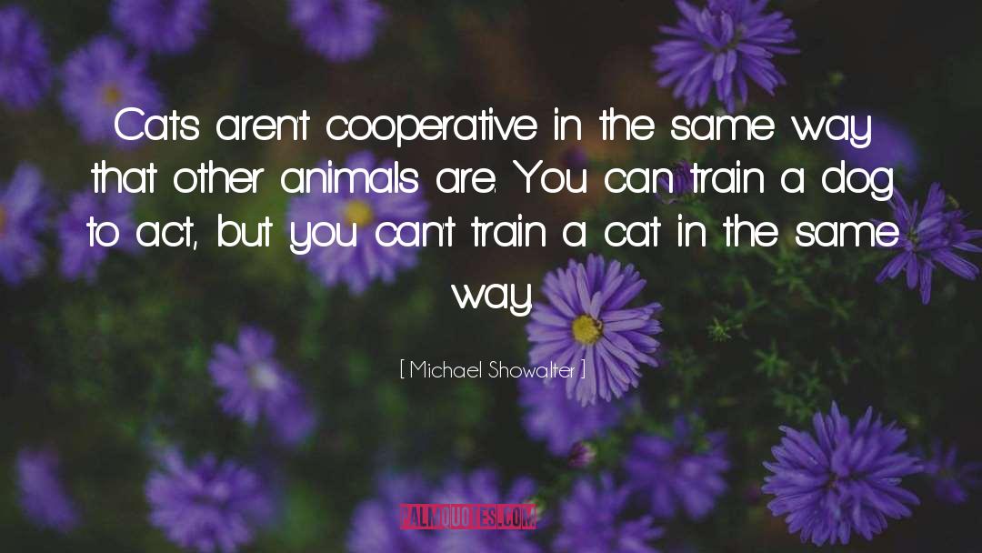 Michael Showalter Quotes: Cats aren't cooperative in the