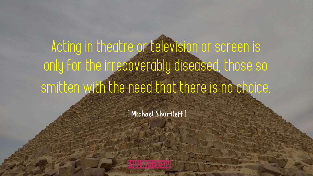 Michael Shurtleff Quotes: Acting in theatre or television