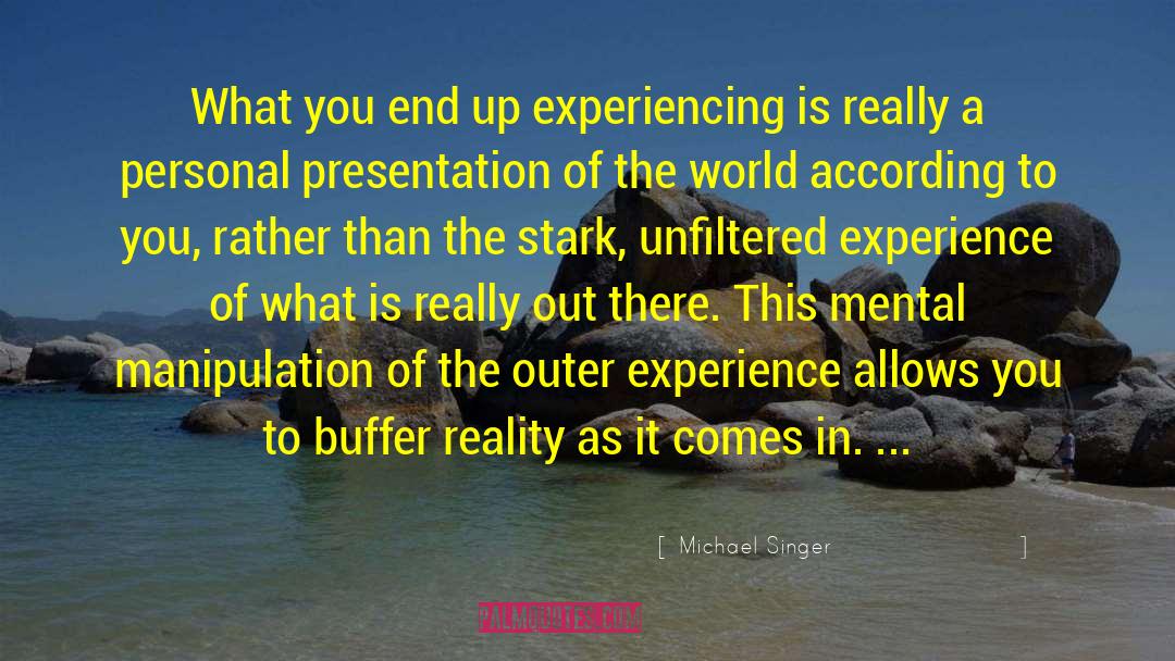 Michael Singer Quotes: What you end up experiencing