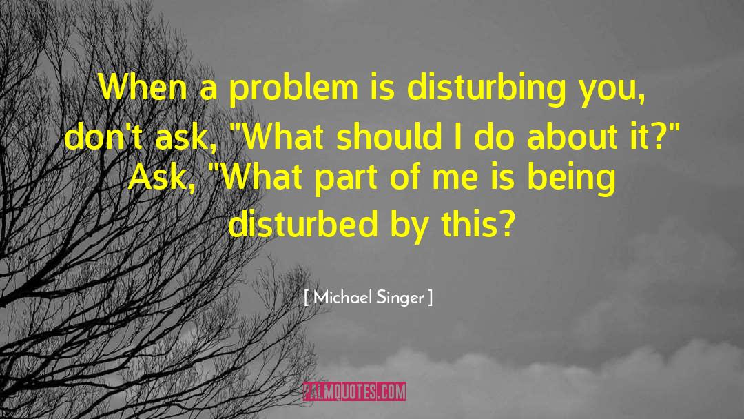 Michael Singer Quotes: When a problem is disturbing