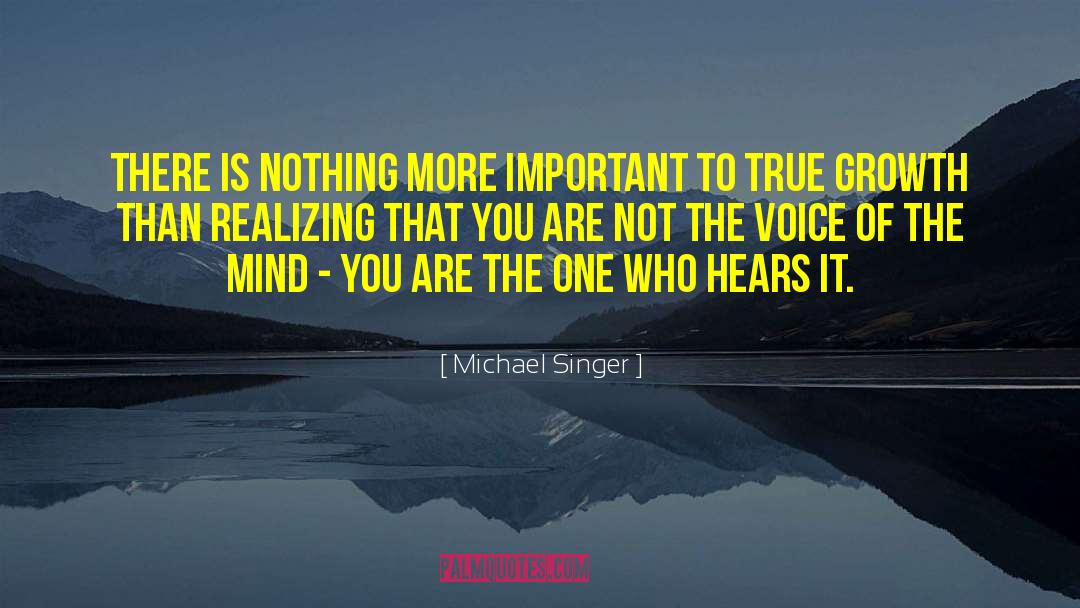 Michael Singer Quotes: There is nothing more important