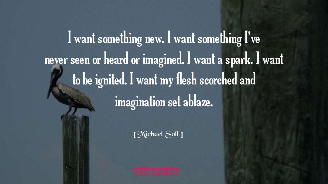 Michael Soll Quotes: I want something new. I