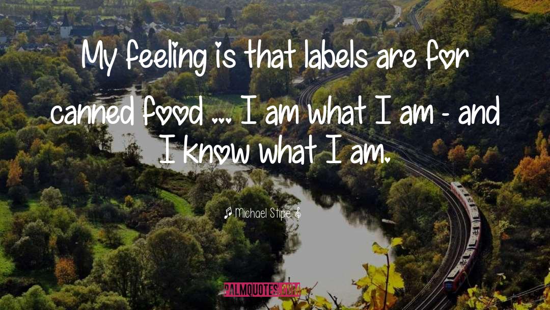 Michael Stipe Quotes: My feeling is that labels