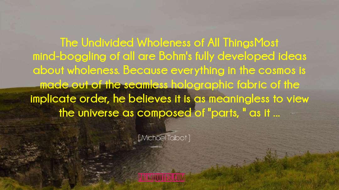 Michael Talbot Quotes: The Undivided Wholeness of All