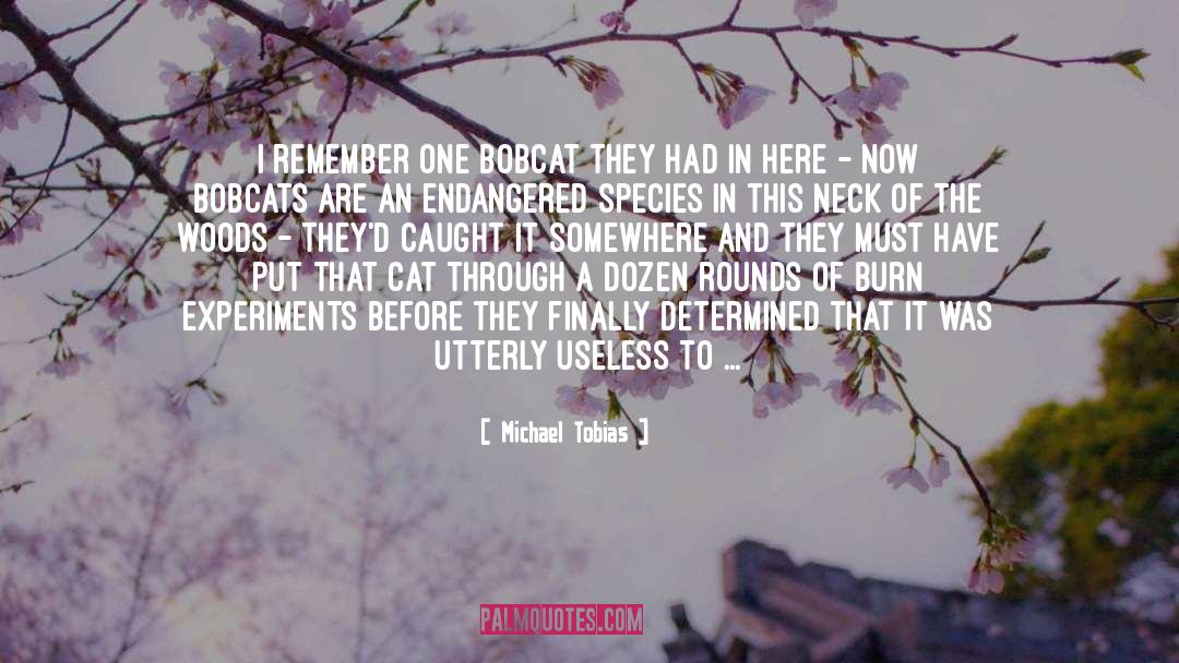 Michael Tobias Quotes: I remember one bobcat they