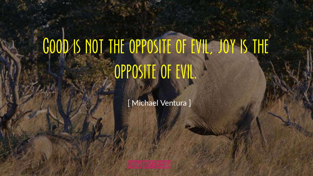 Michael Ventura Quotes: Good is not the opposite