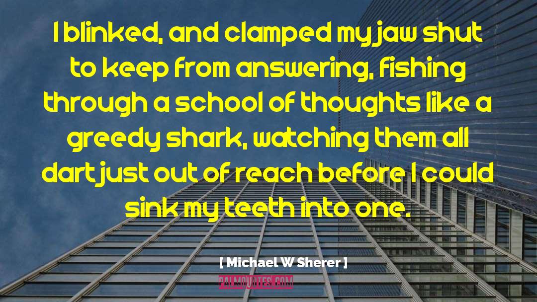 Michael W Sherer Quotes: I blinked, and clamped my